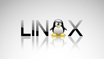 Linux连接MobaXterm出现的问题及解决